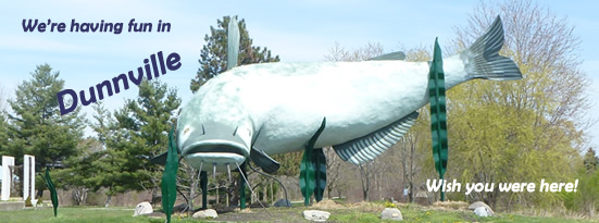 Postcards from DCT introduced by our giant catfish